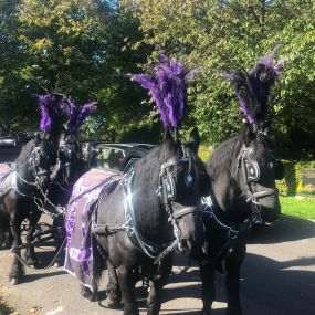 Bild von K.C Funeral Service