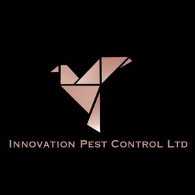 Bild von Innovation Pest Control Ltd