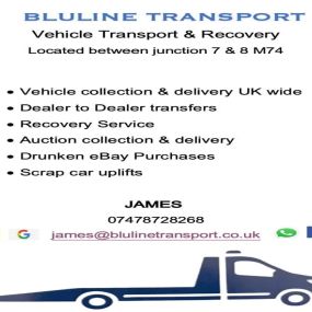 Bild von Bluline Transport