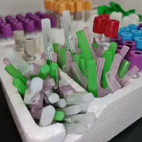 Bild von Bloods And Needles Academy Ltd