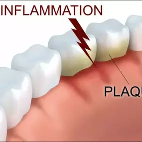 Bild von Bloods And Needles Academy Ltd