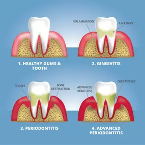 Bild von Bloods And Needles Academy Ltd