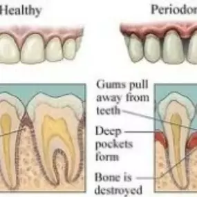 Bild von Bloods And Needles Academy Ltd