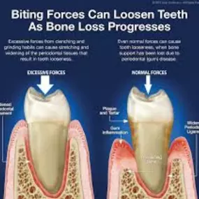 Bild von Bloods And Needles Academy Ltd