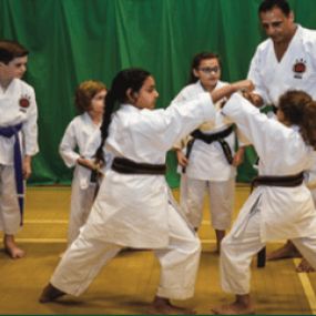 Bild von TISKA Surbiton Shotokan Karate Club