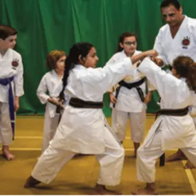 Bild von TISKA Surbiton Shotokan Karate School