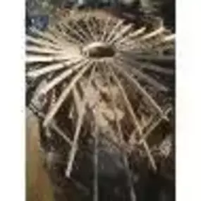 Bild von J R Building