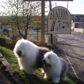 Bild von Station House Boarding Kennels