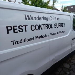 Bild von Wandering Critters Pest Control Surrey