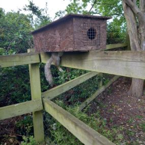 Bild von Wandering Critters Pest Control Surrey