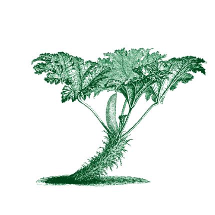 Logo von Flükiger Gartenbau