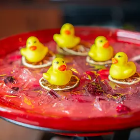 A jumbo cocktail that contains 4 - 5 cocktails in a real bird bath!