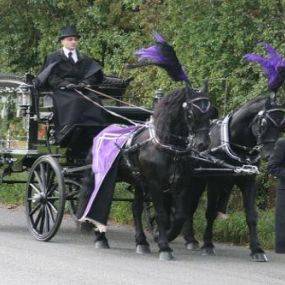 Bild von Murrays Independent Funeral Directors