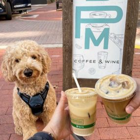 We love our little friends and welcome them with a complimentary pup cup.