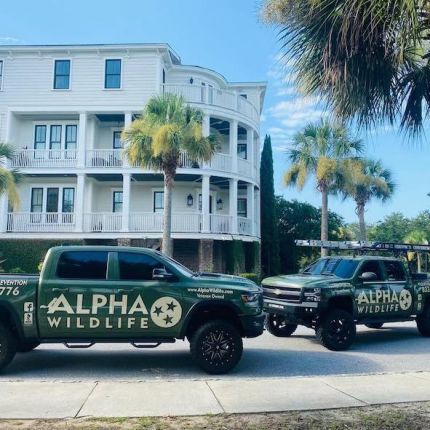 Λογότυπο από Alpha Wildlife Charleston