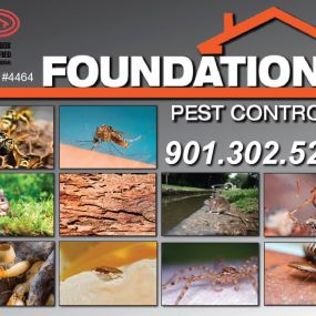 Bild von Foundation Pest Control