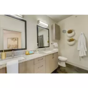 Double Sink Vanity in bathrooms