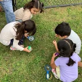 Several children are crouched in the grass, observing and gently handling bugs, including ladybugs and small caterpillars.