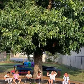 Children relaxing and playing in the shade of a large tree, enjoying the cool, peaceful atmosphere of the outdoor space.