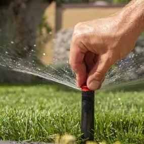 Bild von Spartan Irrigation