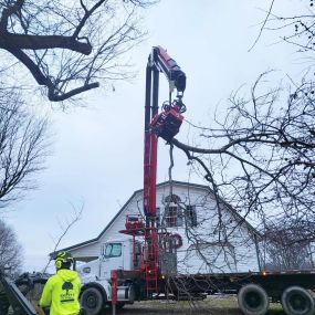 Fully licensed, insured and bonded, our first priority is safety. Our high-tech equipment eliminates the need for tree climbing for many of our jobs.