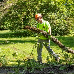 Bild von Smitty’s Tree Service LLC