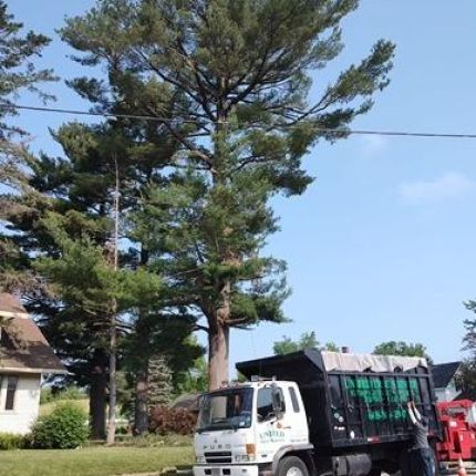 Logo de United Tree Service