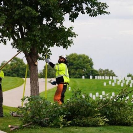 Logo van United Tree Service