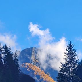 Bild von Unique Hotel Fusio - Ristorante Da Noi