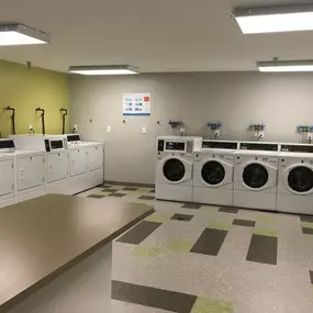 Laundry Suites