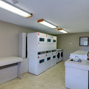 Laundry Suites