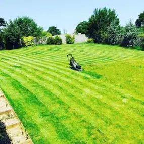 Bild von J.Chaney Garden Maintenance & Landscaping