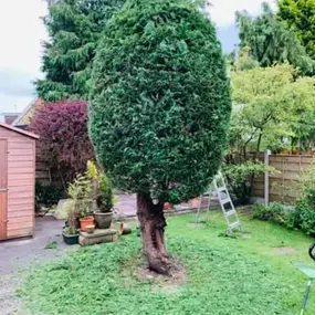 Bild von J.Chaney Garden Maintenance & Landscaping