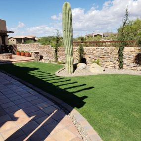 Bild von Desert Vine Landscaping