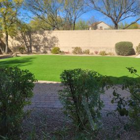 Bild von Desert Vine Landscaping