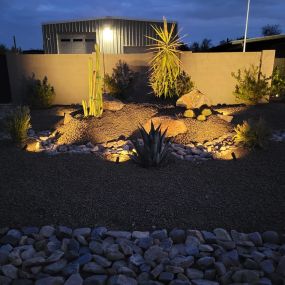 Bild von Desert Vine Landscaping