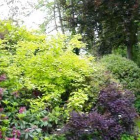 Bild von Quality Gardens