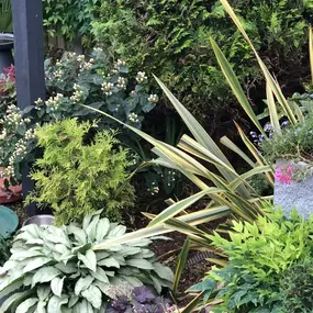 Bild von Quality Gardens