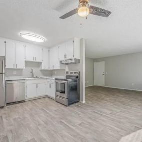 Kitchen and Living Room