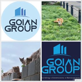 Bild von Goian Group Ltd