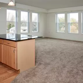 Apartment kitchen and living room