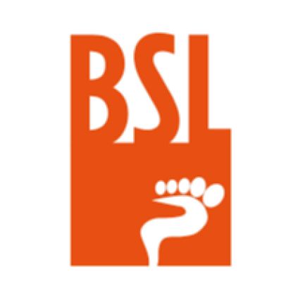 Logotyp från BSL Büro für sichere Logistik