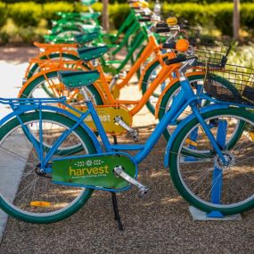 Harvest has bicycles to take a brisk ride around the community