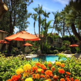 View of the pool