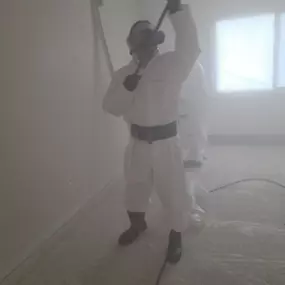 professional mold removal