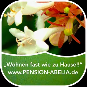 Bild von Abelia Pension und Ferienwohnungen Helmstedt