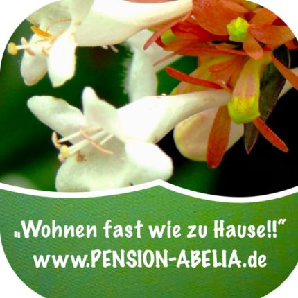 Logo van Abelia Pension und Ferienwohnungen Helmstedt