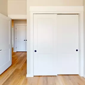 View from the bedroom with a large double panel style door closet with matte black hardware and view into living area and a french double panel style closet