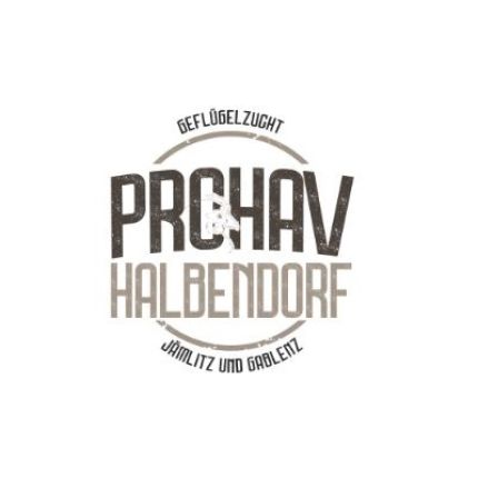 Logo od PROHAV