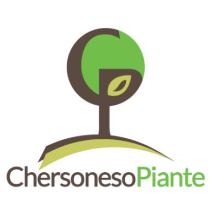 Logo da Vivai Chersoneso Piante Produzione di Plumeria e Ornamentali